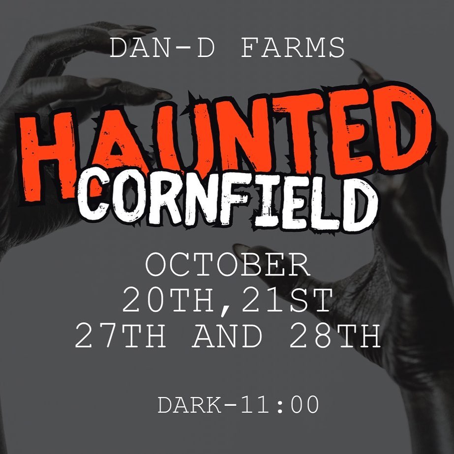 Haunted Cornfield at Dan-D Farms